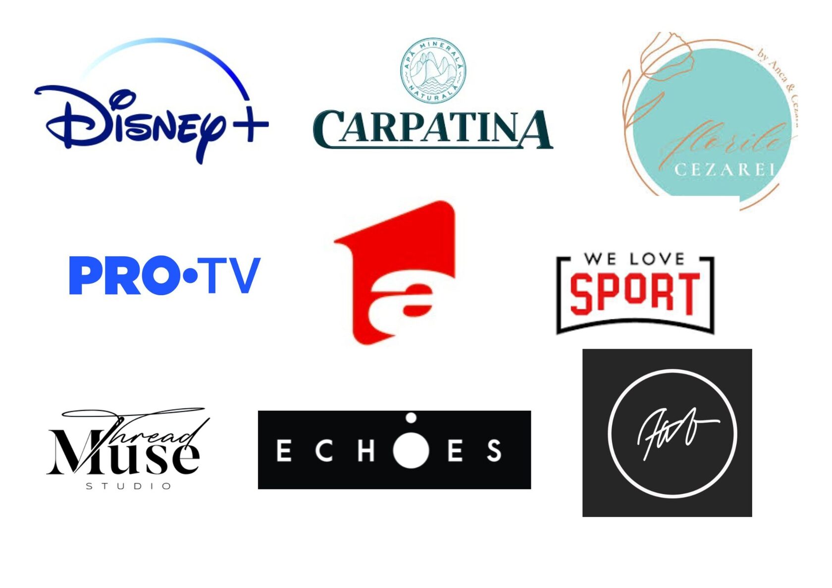 Our Swiftie Partners